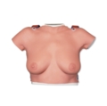 Krūtų savitikros modelis