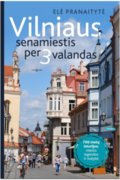 Vilniaus senamiestis per 3 valandas