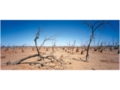 AP DIGITAL fototapetai 470060 Outback