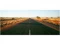 AP DIGITAL fototapetai 470061 Road of Nowhere