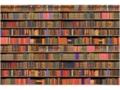 XXL2 fototapetai 470341 M