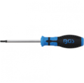 Atsuktuvas T-Star (Torx) T25x100mm.