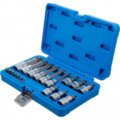 Įpresuotų antgalių rinkinys 6.3mm. (1/4
