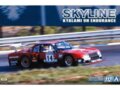 Aoshima - Nissan R30 Skyline Kyalami 9h Endurance '82, 1/24, 05748