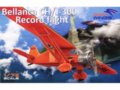 Dora Wings - Bellanca CH/J-300 Record Flight 