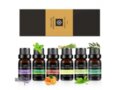Natūralūs eterinių aliejų rinkinys Bohomi Home Spa 100% Pure 6 x 10ml