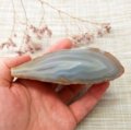 Agatas 347g